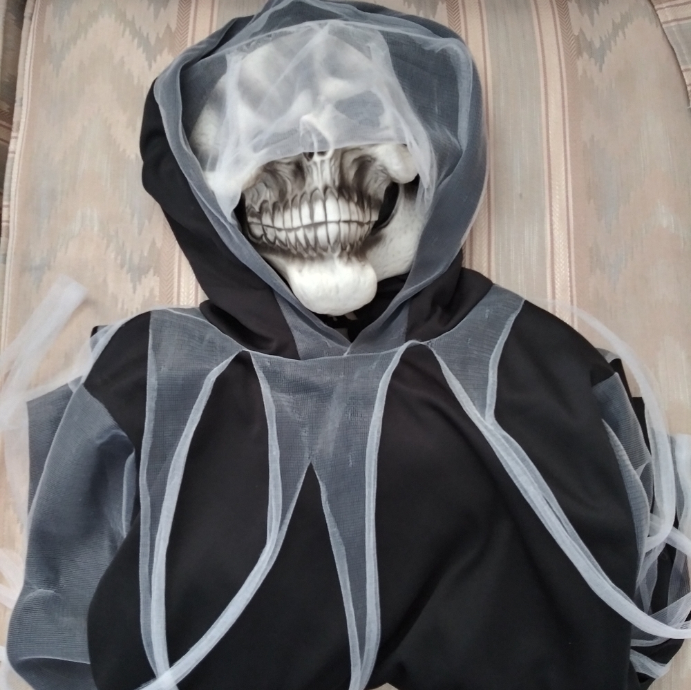 Halloween costume